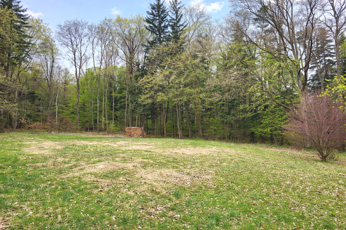 GR�NLAND IM RAUM B�HEIMKIRCHEN