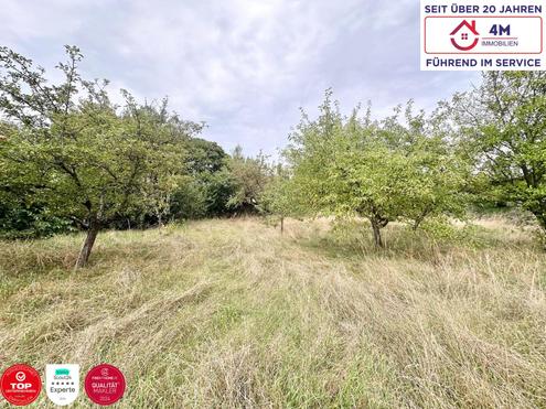 Traumgrundst�ck in Bad Fischau ? perfekte Lage f�r Ihr neues Zuhause!