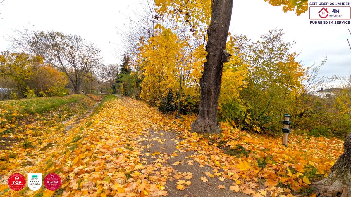 Bach hinter dem Grundst�ck