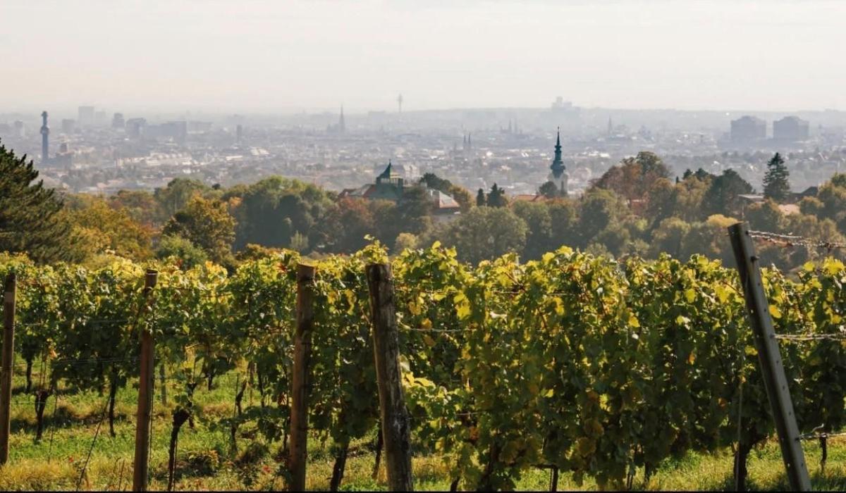 ETW 1190 D�bling - Aussicht