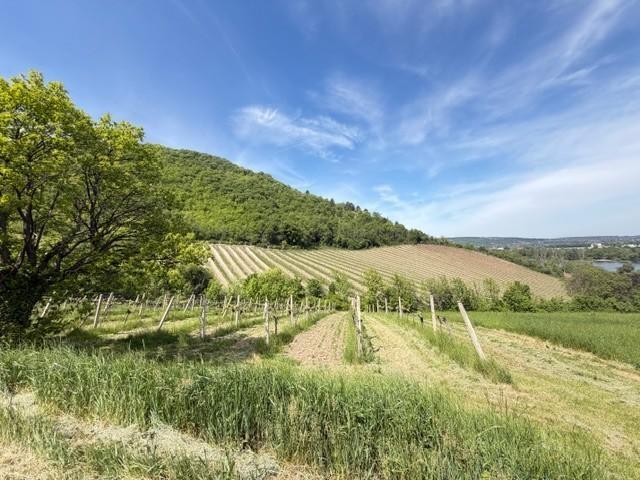 ETW 1190 D�bling - Aussicht