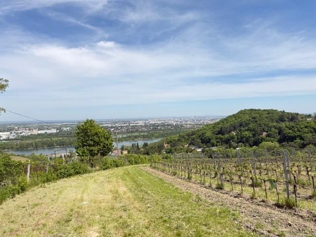 ETW 1190 D�bling - Aussicht