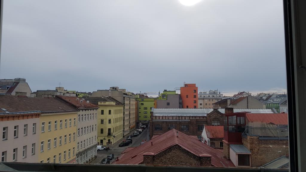 Fernblick