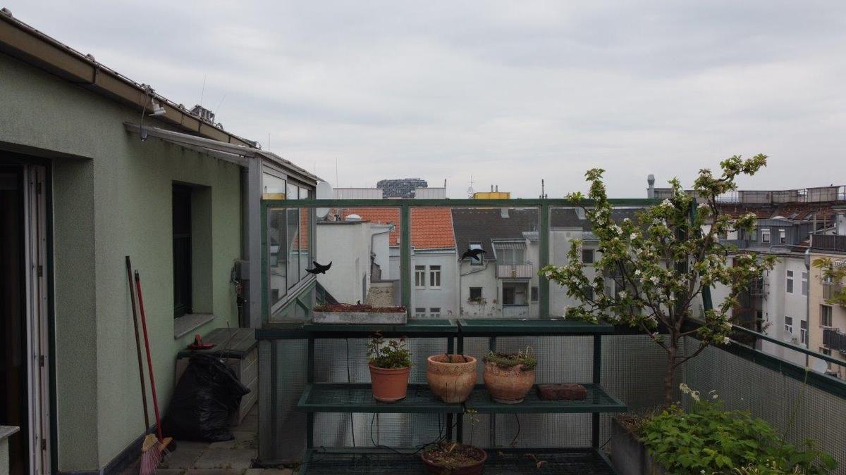 5_Terrasse_2