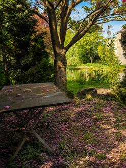 "Die kleine Muse am Teich!"