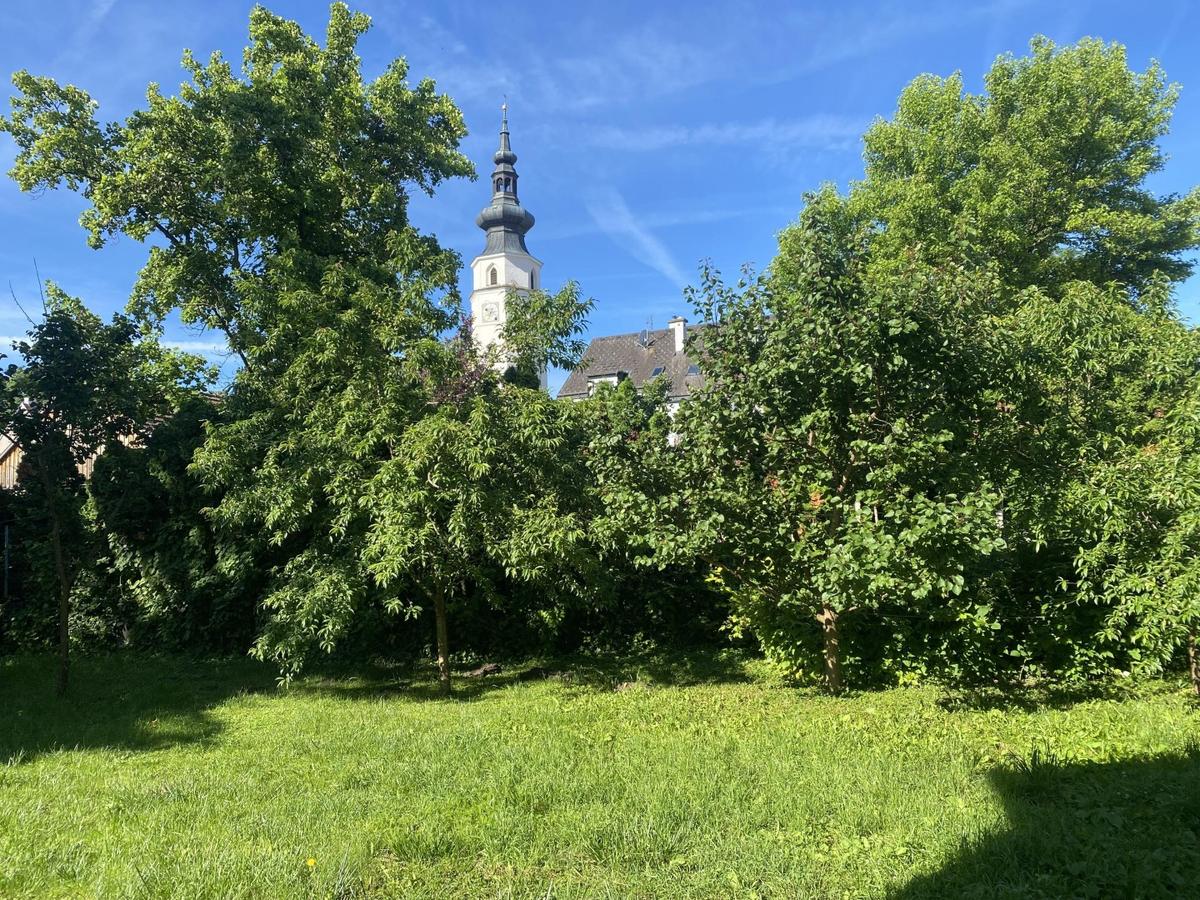01 Mietwohnung in K�nigstetten