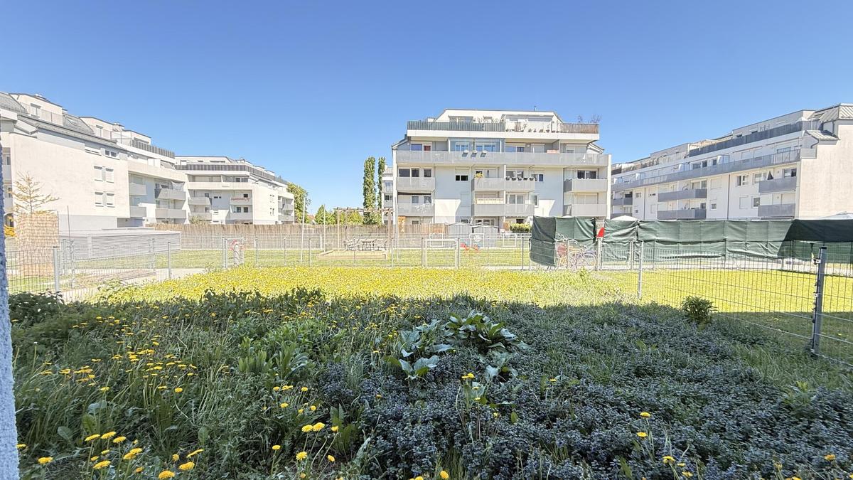 gro�er Garten - zum Innenhof