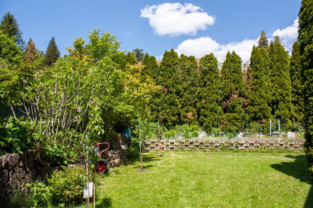 Gartenimpressionen 2