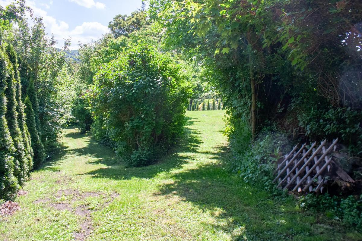 Gartenimpressionen 4