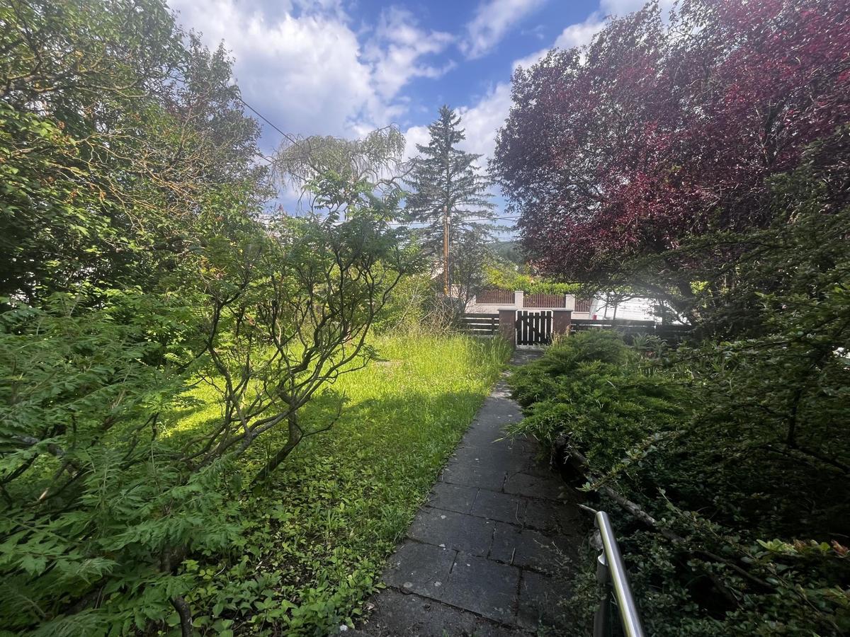 03 Stra�enblick Baugrund Mauerbach