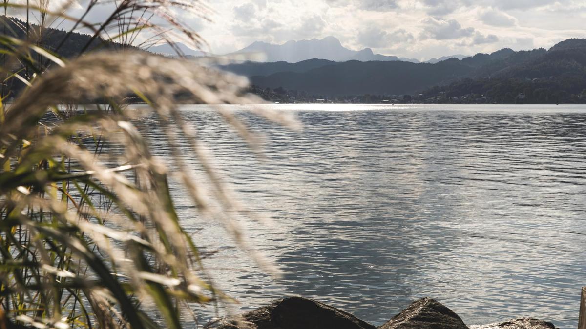 Wo?rthersee