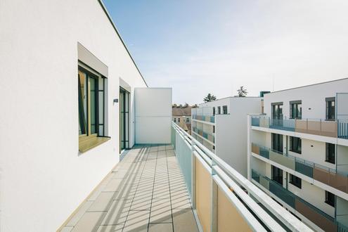 FREI AB ca. Septembern 2026 /Moderne und sonnige 2 Zimmerwohnung mit Loggia-eventuell schon fr�her frei!