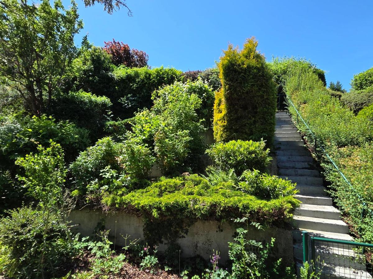 Terrassierte B�schung