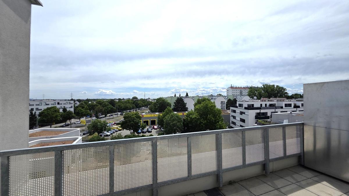 Bild (3)
