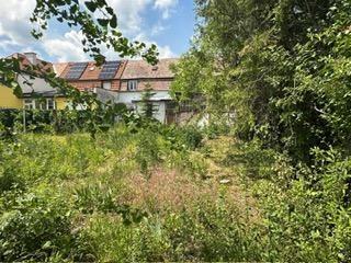 11 Garten