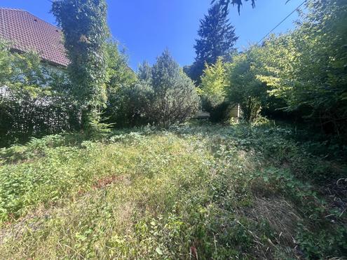 "Rarit�t in Mauerbach"