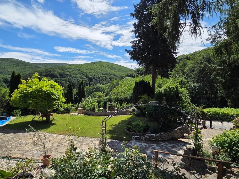 Blick von S�dterrasse