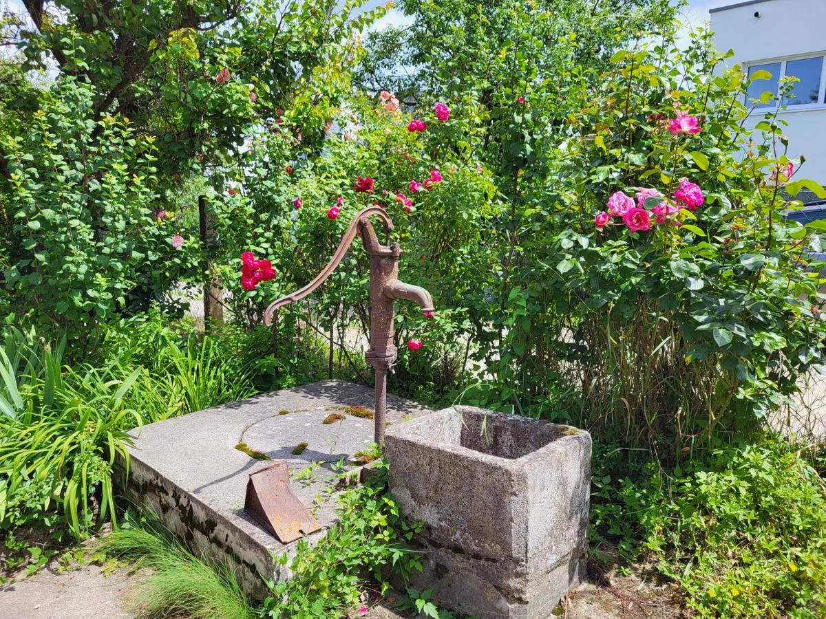 Brunnen