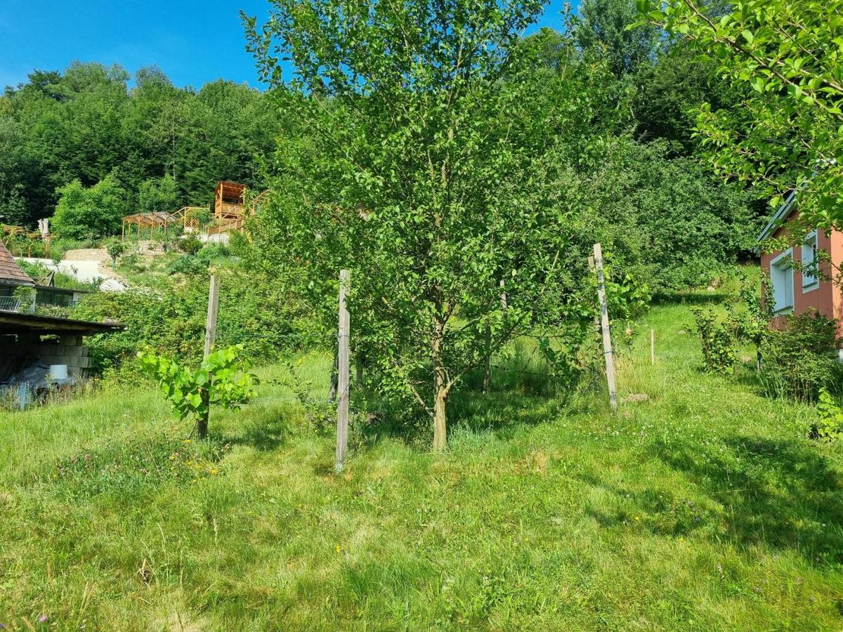 Baugrundst�ck