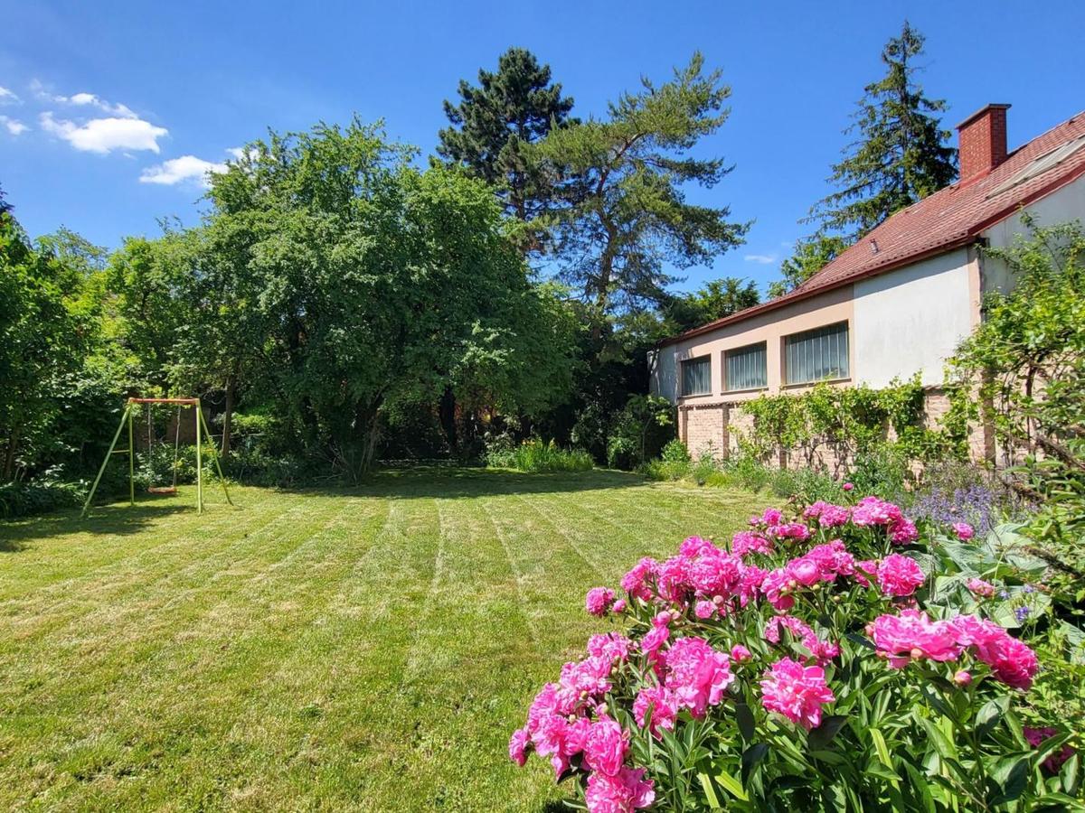 13 Garten
