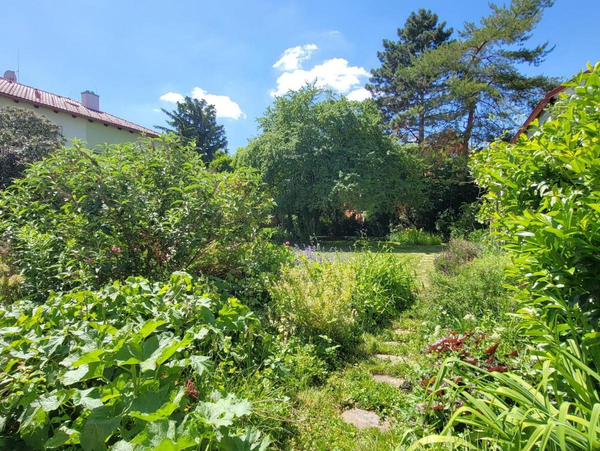 14 Naturgarten