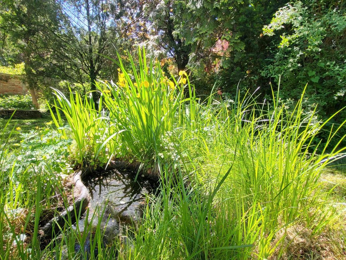14 Naturgarten