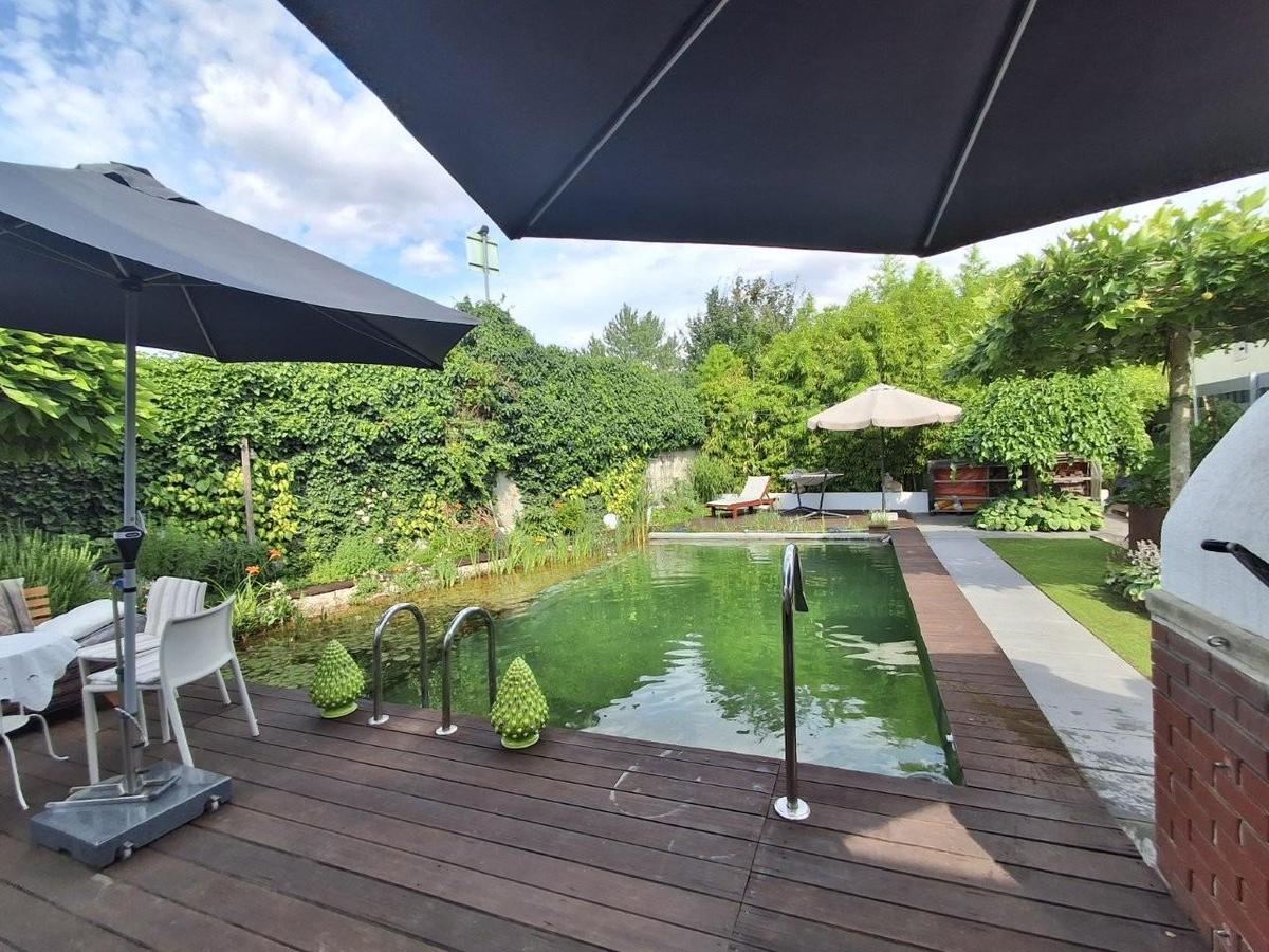 5 Terrasse mit Pool 1220