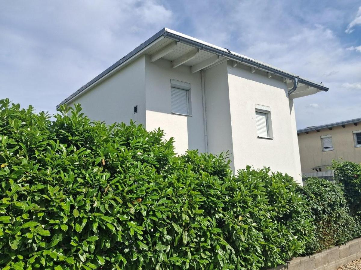 27 Haus mit Hecke au�en 1220