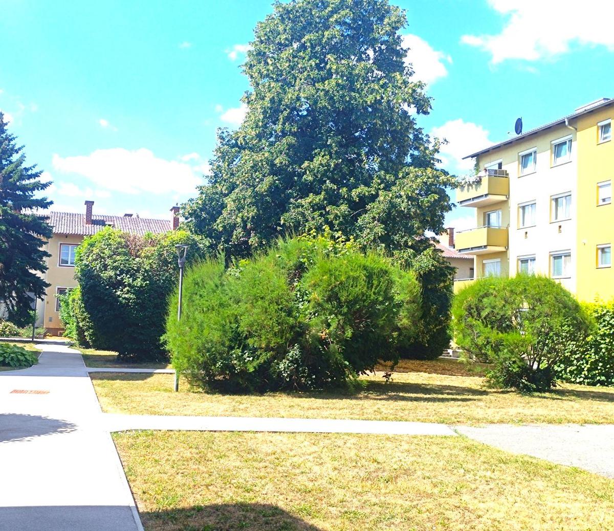 2301 Gro�-Enzersdorf G�nserndorf Eigentumswohnung
