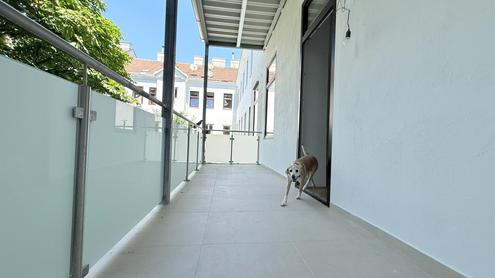 Elegante Altbauwohnung mit Balkon ? Wohnen nahe dem Augarten
