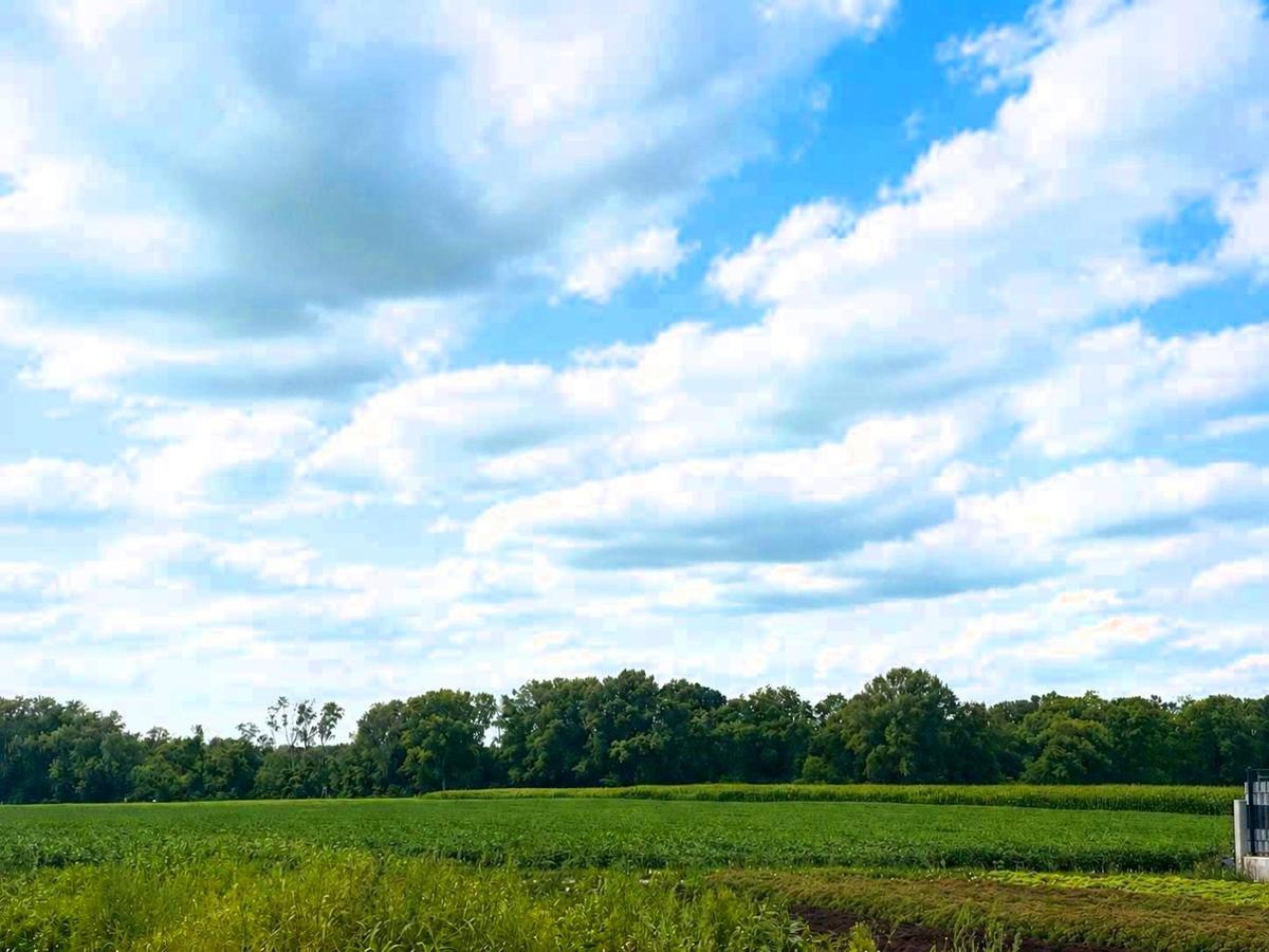 04 Baugrundst�ck in Gro�-Enzersdorf