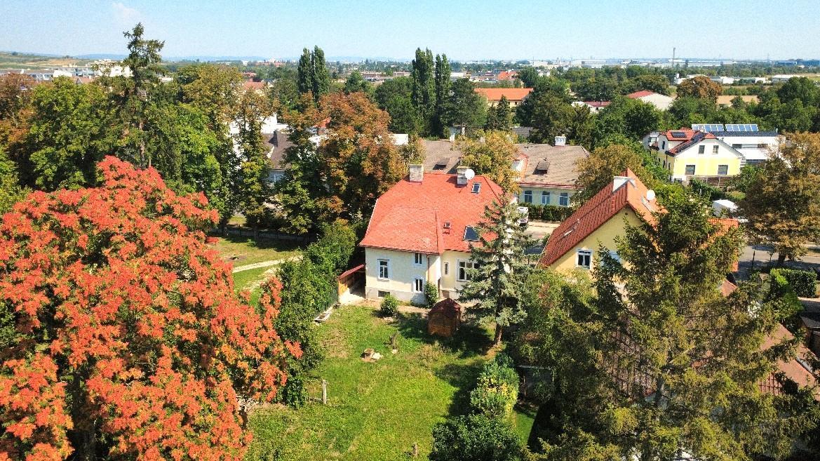 Luftaufnahme Haus, Garten