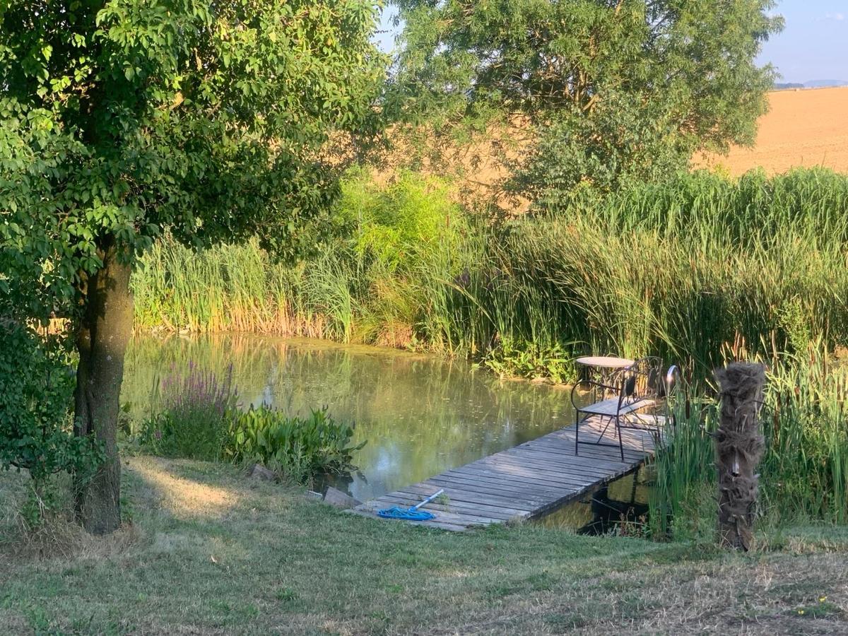 Schwimmteich