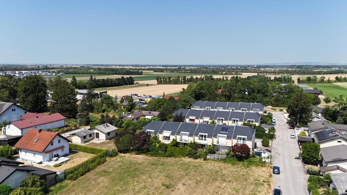 6 Tullner Feld