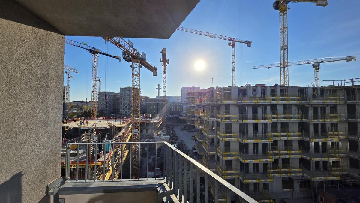 Bild (5)