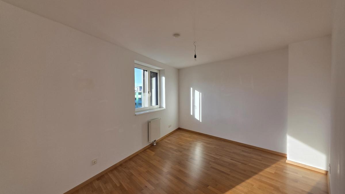 Bild (7)
