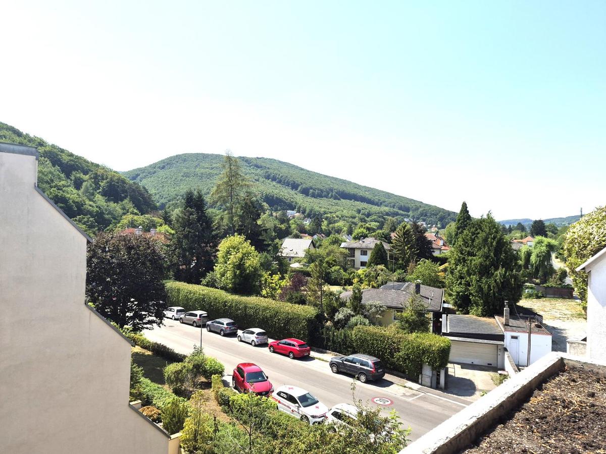 Ausblick