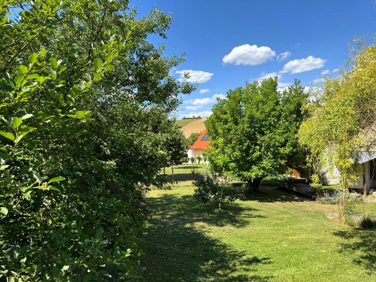 02 Aussicht