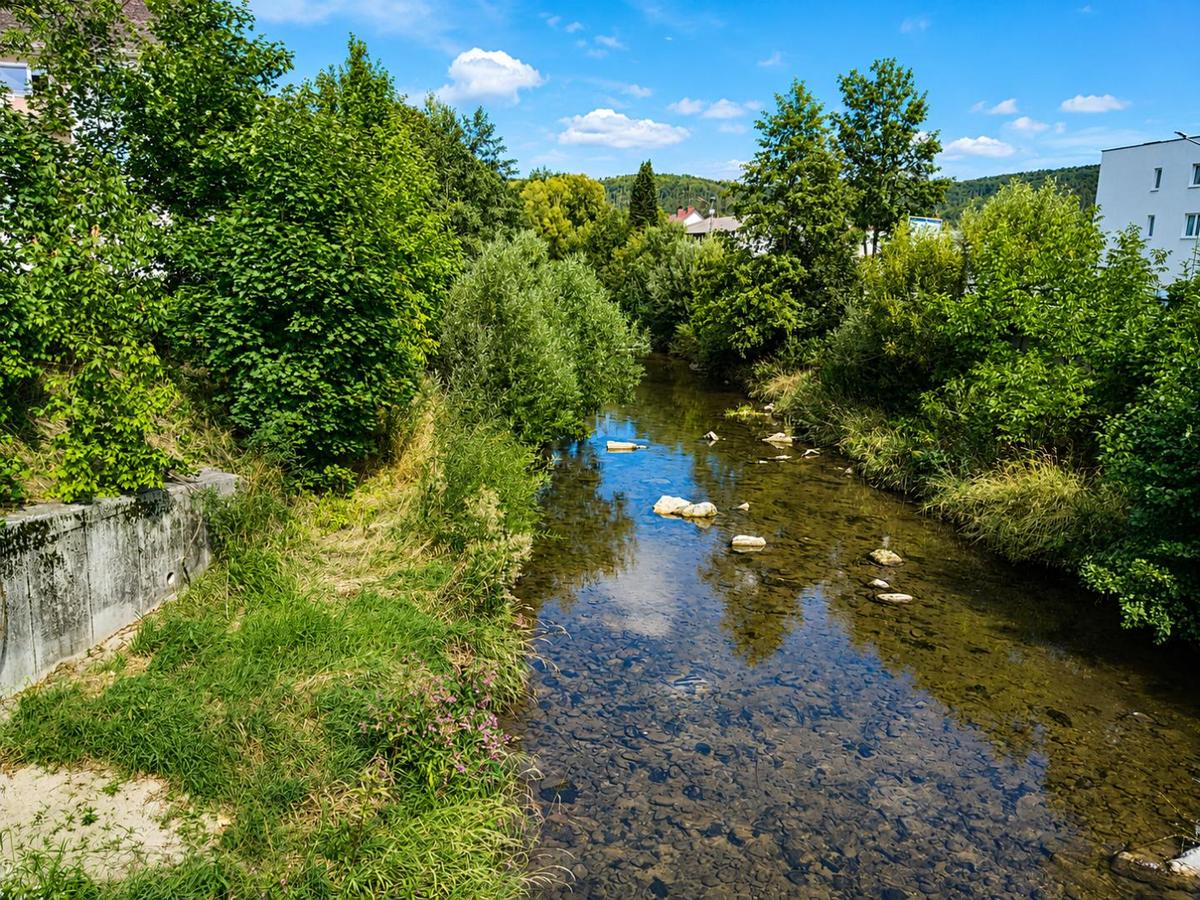 Umgebung