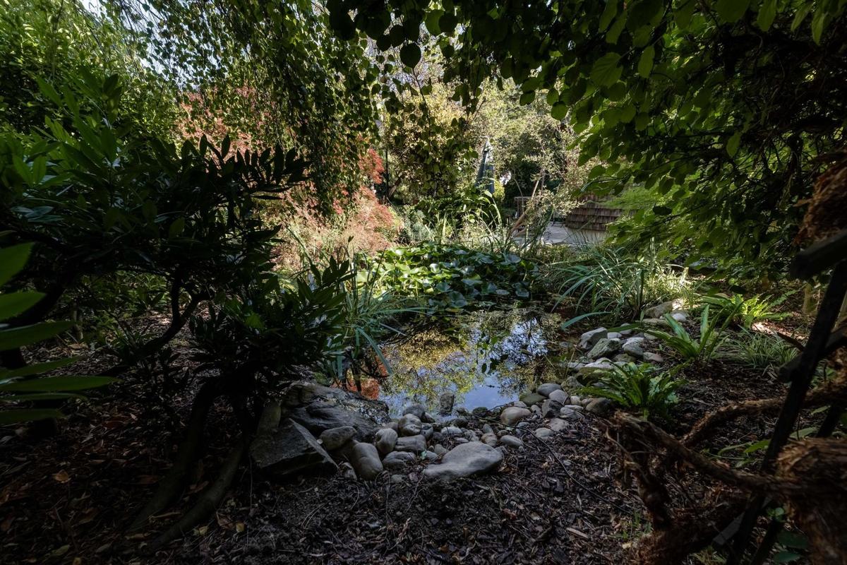 10. Teich