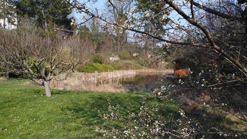 "Exklusives Refugium mit Biotop &amp; 3.000 qm Gartenparadies!"