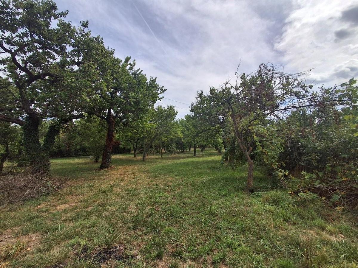 4 Obstgarten Gr�nland 7053 Hornstein