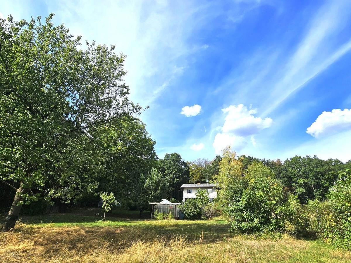 idyllische Lage am Waldrand