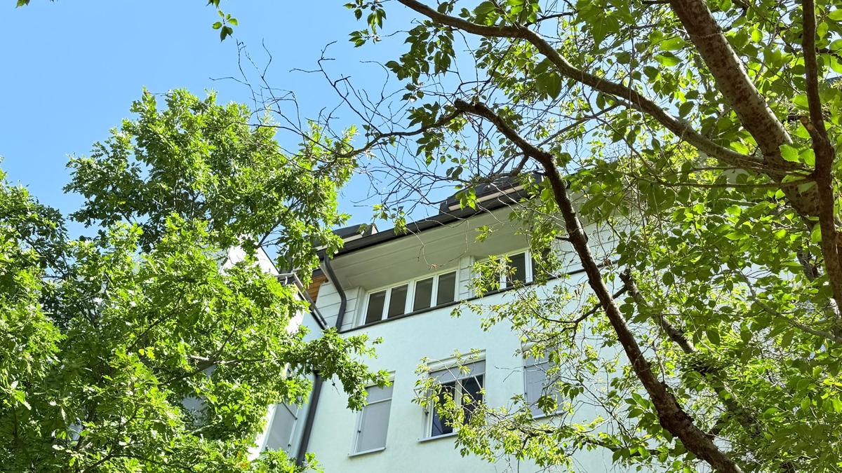 Blick vom Gemeinschaftsgarten auf die Maisonette