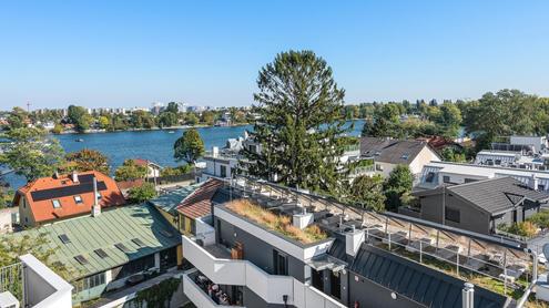 Hier wird die ALTE DONAU zum Panorama! Was f�r ein Ausblick.