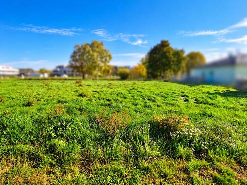 Wohnen im Gr�nen ? mit der Stadt in greifbarer N�he