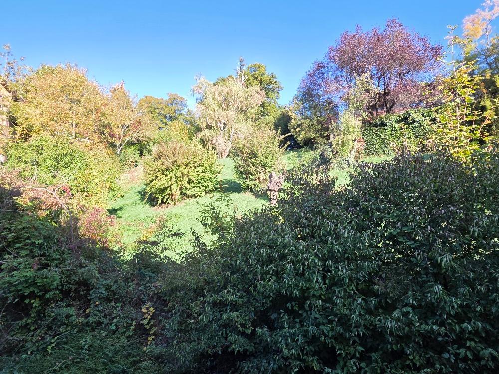 Blick vom Balkon