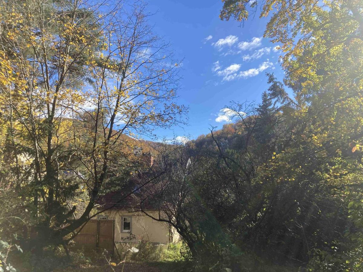 Blick S�den