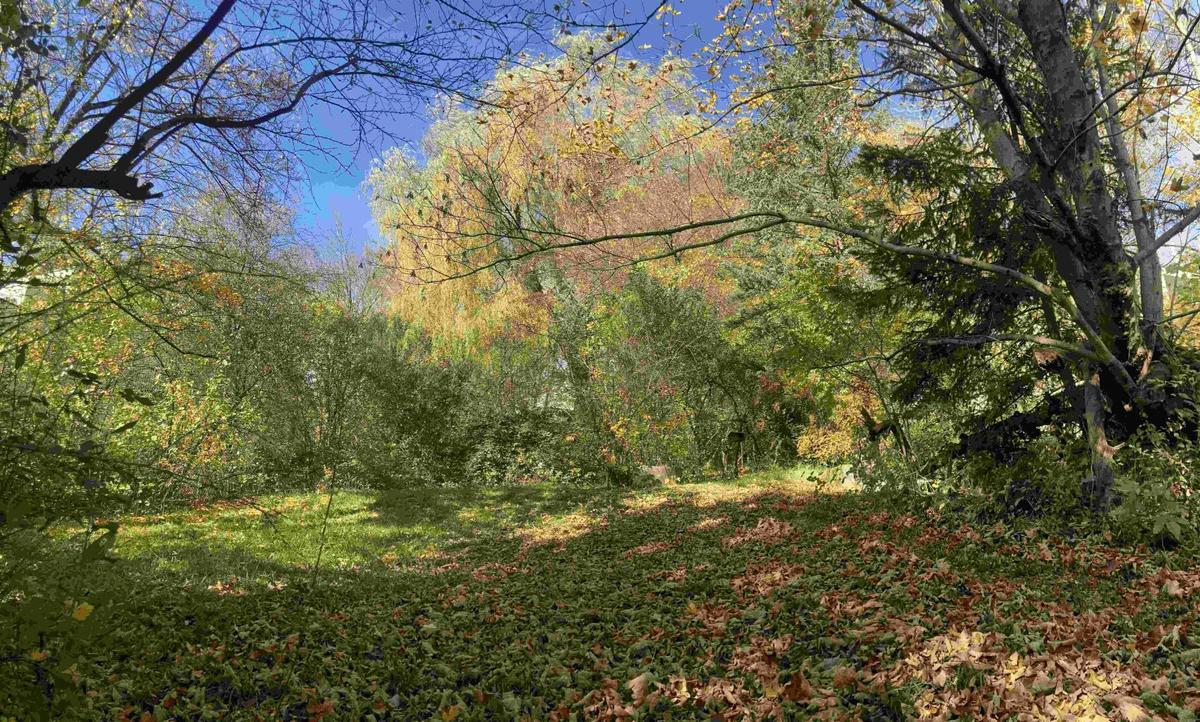 Garten