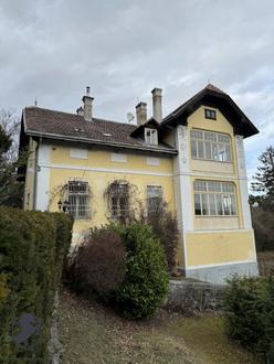Lage Lage Lage! Einzigartige Villa in idyllischer Lage - Perfektes Renovierungsprojekt in Hinterbrhl!